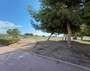 items-14705-1162380.jpg