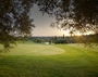 items-14824-1176957.jpg
