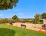items-14933-1198041.jpg