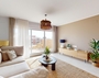 items-15180-1179088.jpg