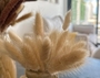 items-15364-1180506.jpg